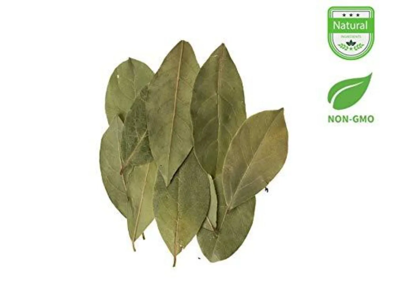 Bay Leaves