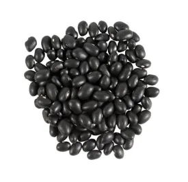 Black Bean