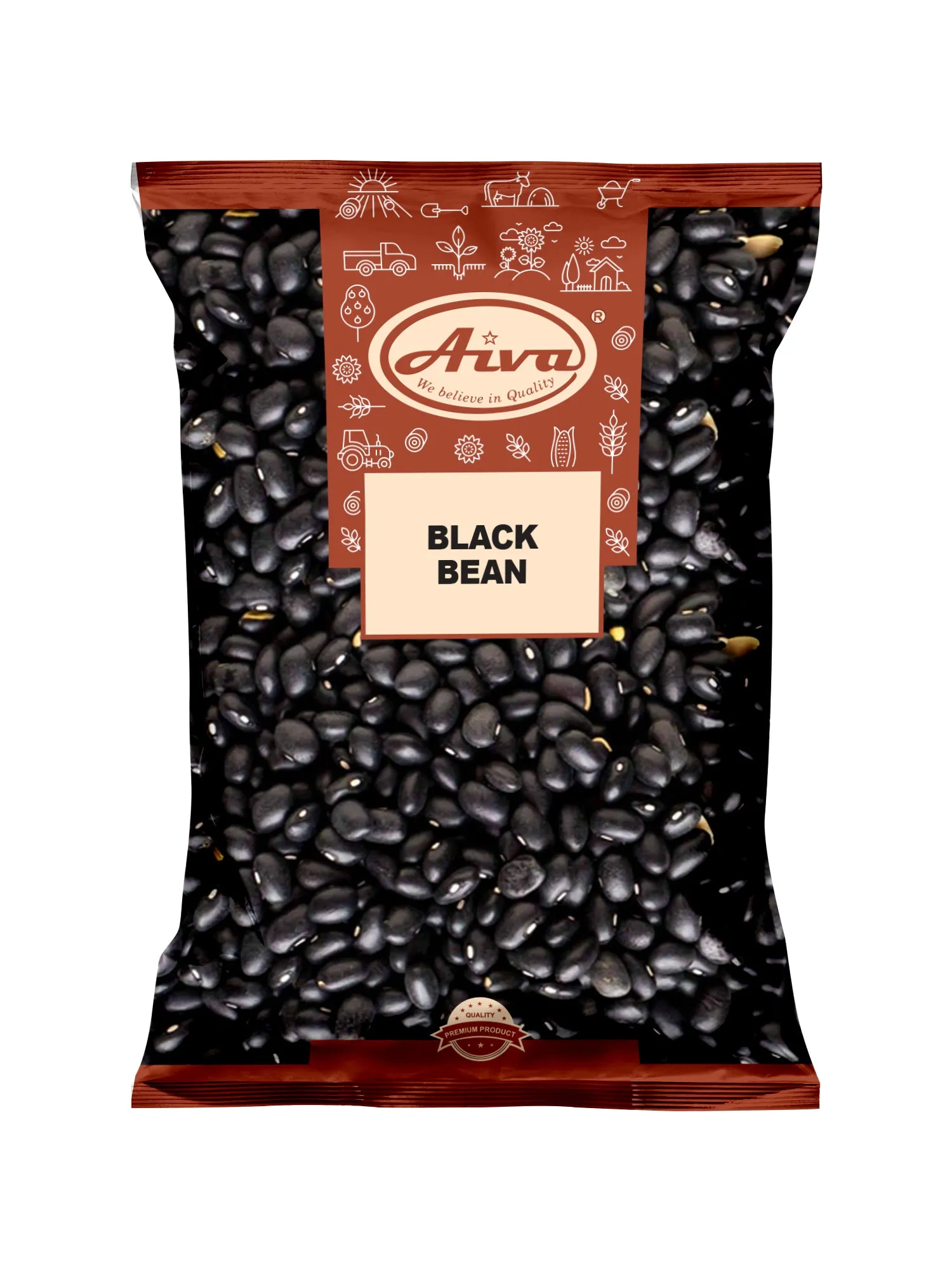 Black Bean