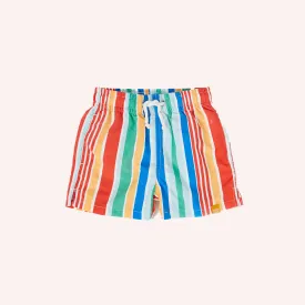 Board Shorts - Bold Stripe