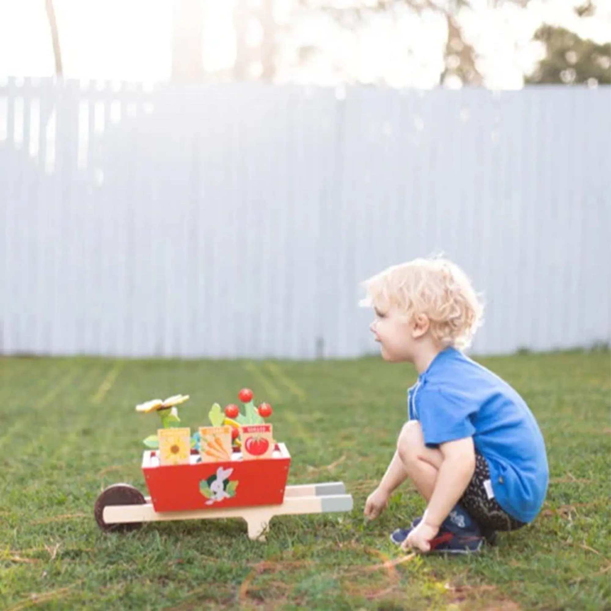 Garden Wheelbarrow Set