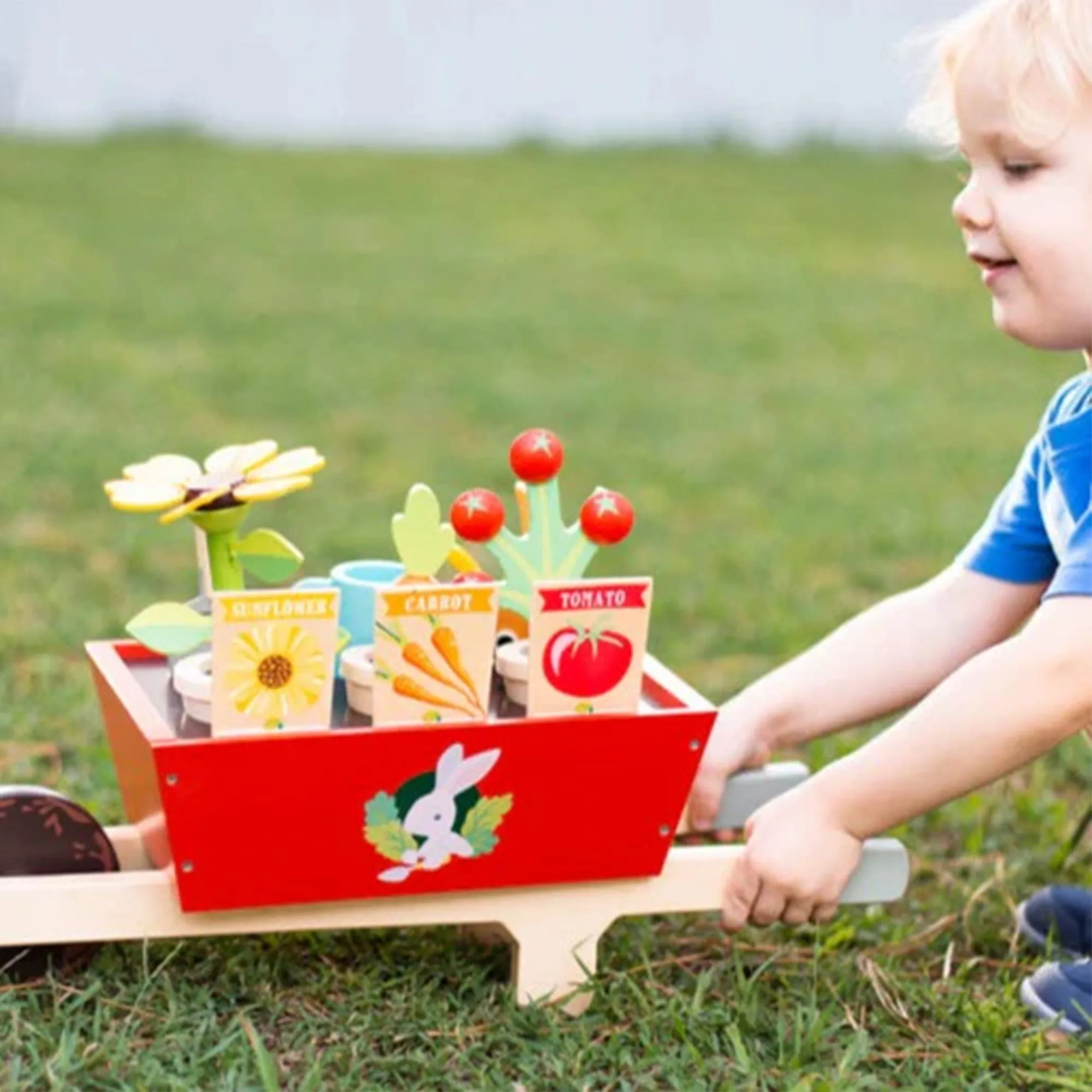 Garden Wheelbarrow Set