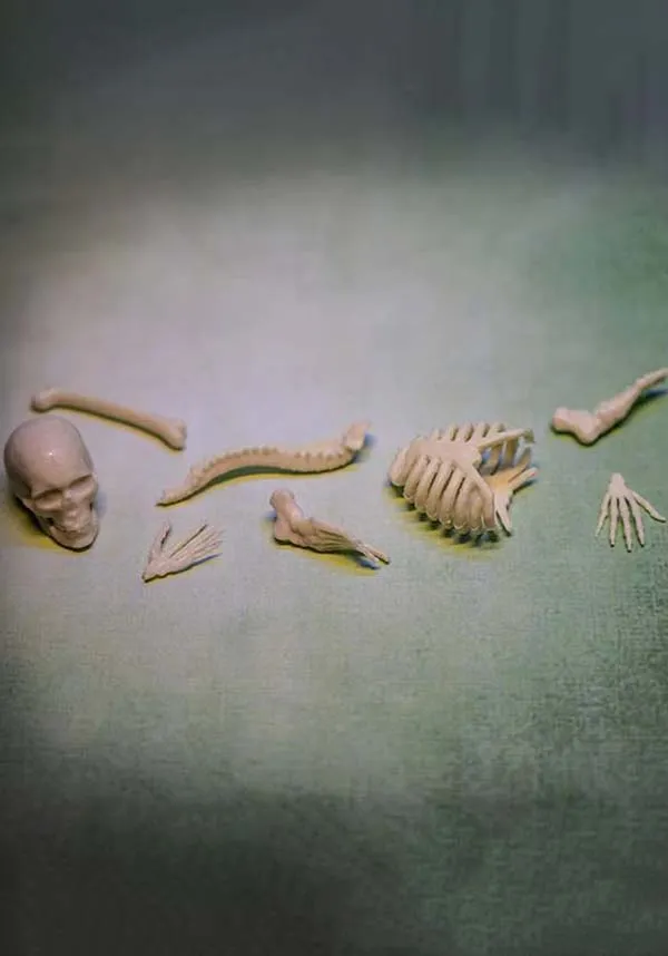 Itty Bitty | BONES